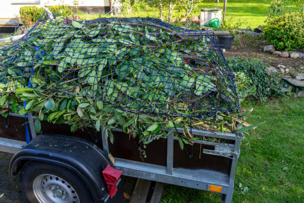 Best Hoarding Cleanup  in Waterloo, WI